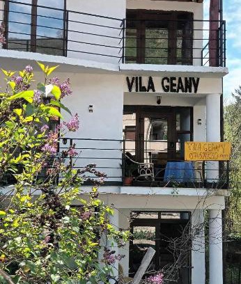 Baile Herculane House | Vila Geany