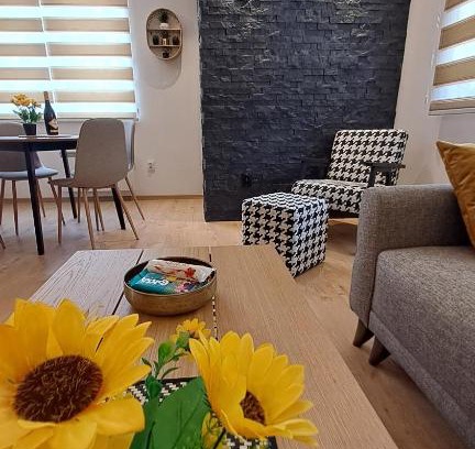 Jahorina Apartment | Vila Jahor Apartmani JET SET Lux