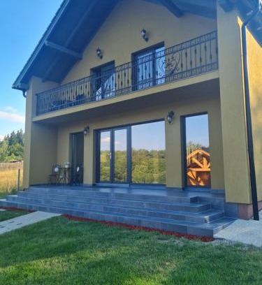 Vulcan House | Vila Lac
