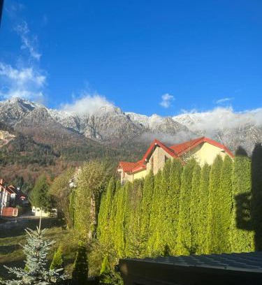 Poiana Tapului Villa | Vila Miro Monte