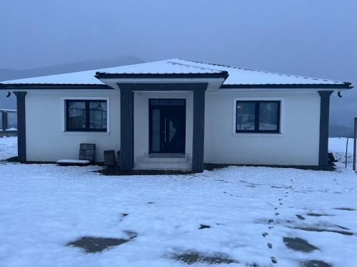 Nanesti Villa | Vila Selena