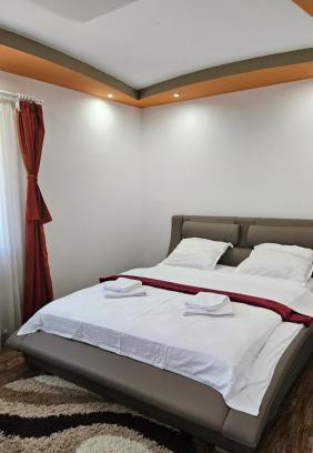 Baiculesti Villa | Vila Simona