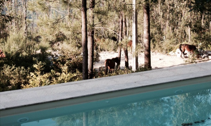 Bouro Cottage | Vilarinho House - Gerês
