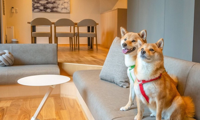 Yamakawa Onsen House | VILLA 105 Pets allowed/Aso-gun Kumamoto