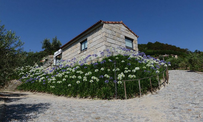 Paredes de Viadores House | Villa 3 - Swallows
