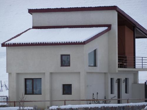 Kazbegi Villa | -Villa Allegria Kazbegi-