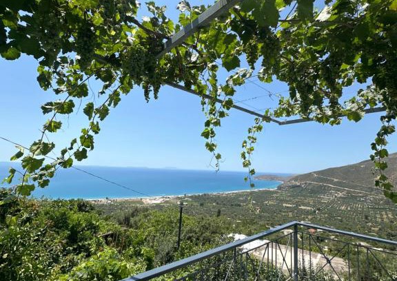 Borsh Apartment | Villa Ani