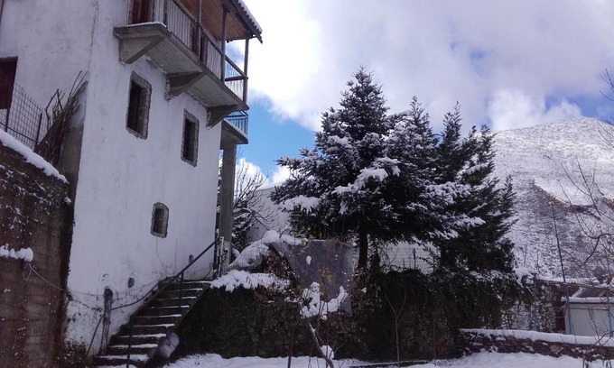 Artemisia House | Villa Artemis and apartments