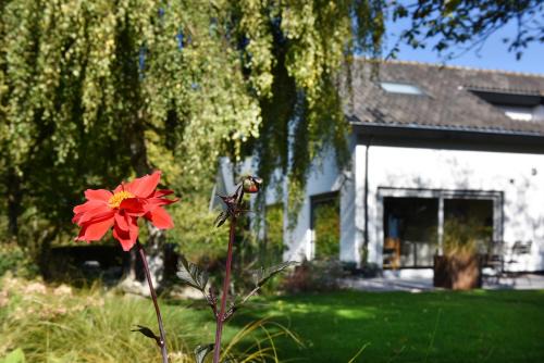 Bruinisse House | Villa Astrantia