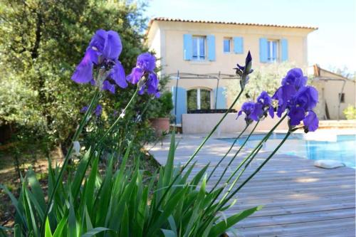 La Bastide-des-Jourdans House | Villa au calme et sans vis à vis , proche du village