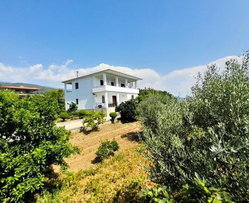 Berat Apartment | Villa Besart