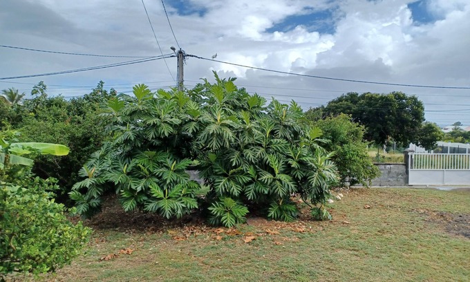 Saint-Francois Villa | Villa between two seas for rent