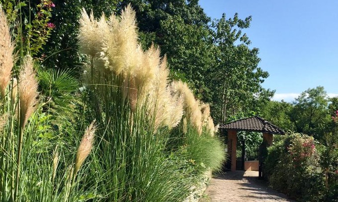 Briona House | Villa Caramino