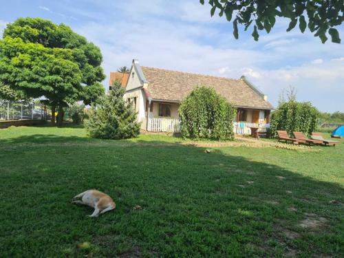 Becej Apartment | Villa Diiva Čurug