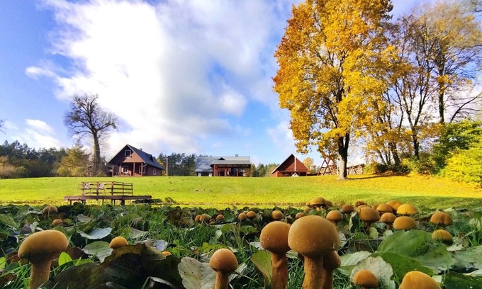 Virsurodukis House | Villa Dzukijos Uoga: Cozy Forest Escape by Lakes, Privacy & Druskininkai Charm