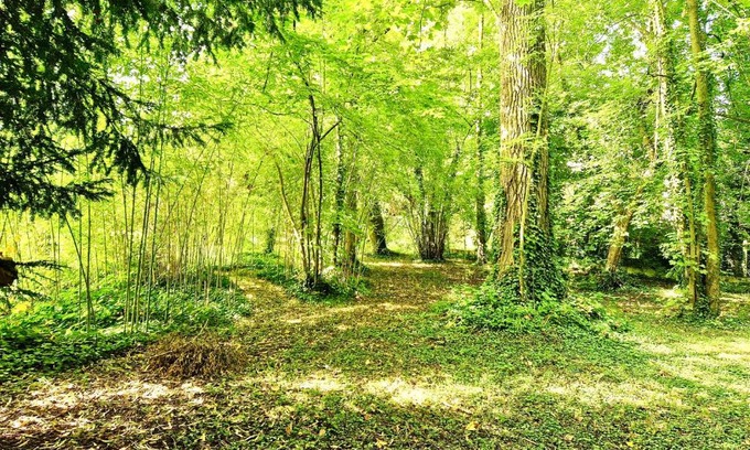 Claye-Souilly Villa | VILLA EDOUARD - 180m2 in nature & forest - 20min Disney - 7min airport