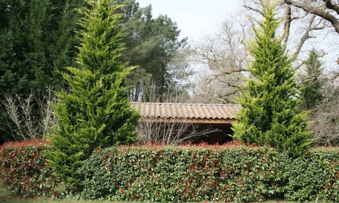 Labouheyre Villa | Villa et Piscine en Pleine Nature - Domaine Temali