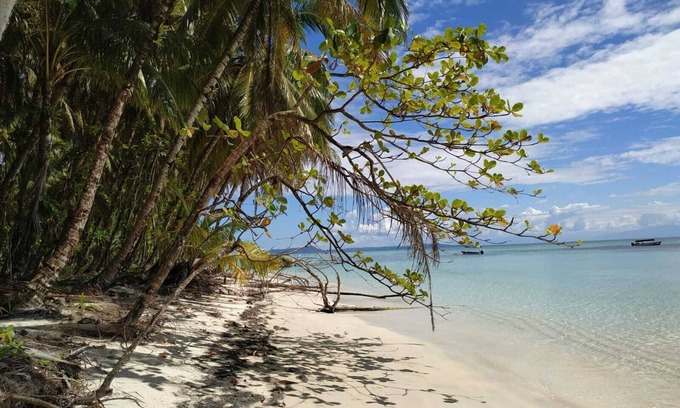 Isla Solarte Hotel | Villa F&B