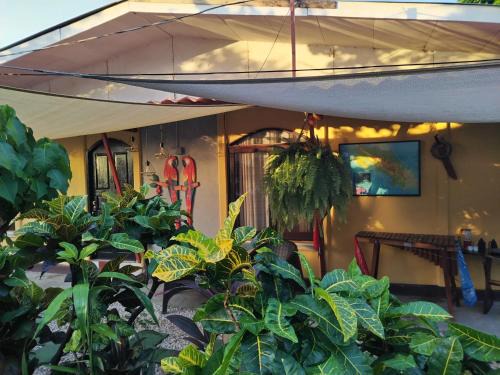 Barrio El Invu House | Villa Gabriela, Casa Tucan