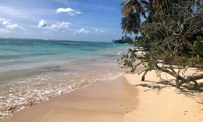 Grand-Bourg Villa | Villa Libellule - on the heights of GRAND BOURG MARIE GALANTE