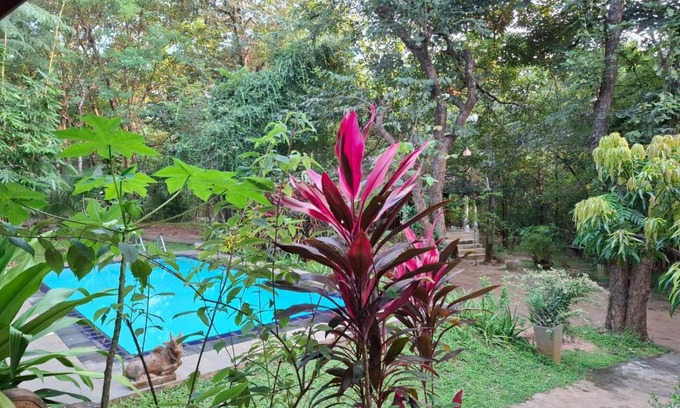 Habarana Villa | Villa Habarana