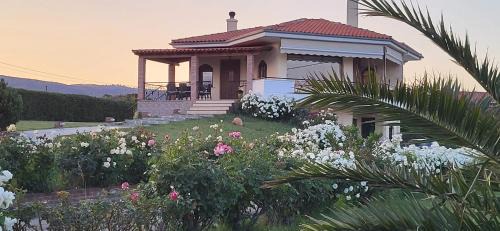Alexandroupoli Villa | Villa Harry's