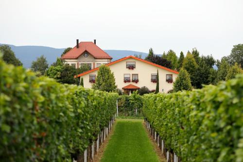 Landau in der Pfalz House | Villa Hochdörffer Gästehaus