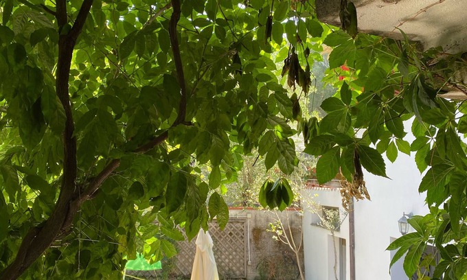 Palinuro Villa | Villa Immersed in the greenery of the Cilento national park in Palinuro