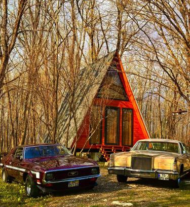 Tsqaltubo Cabin | Villa Ioseliani