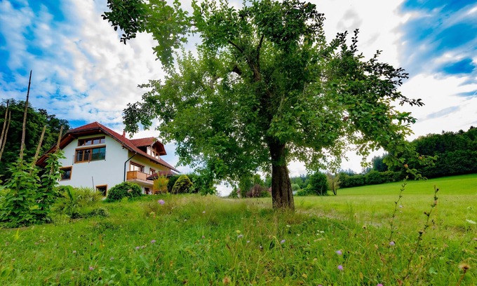 Bostanj Apartment | VILLA KATARINA APARTMENTS Nesteled in nature, wrapped in comfort.