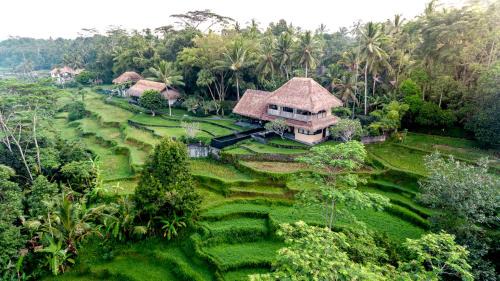 Sambahan Villa | Villa Kelusa