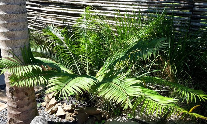 La Mercy Apartment | Villa La Mercy Guest Suite