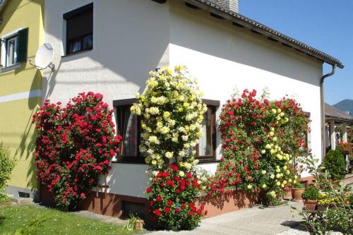 Klagenfurt am Woerthersee House | Villa Lindwurm
