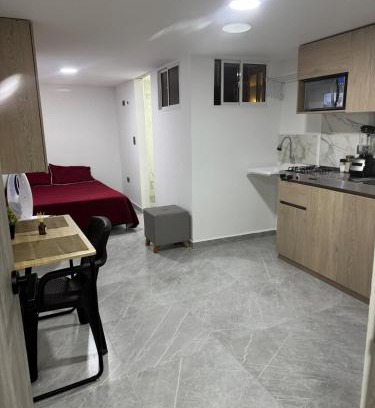 Buenos Aires Apartment | Villa Loreto Aparta estudio 203