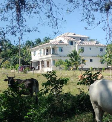 Magante Villa | Villa Magante