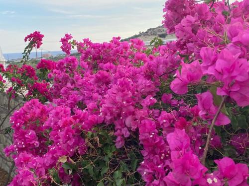 Ierapetra Villa | Villa Marmelada