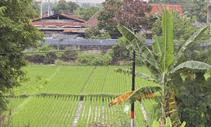 Sewon Villa | VILLA MIKE
