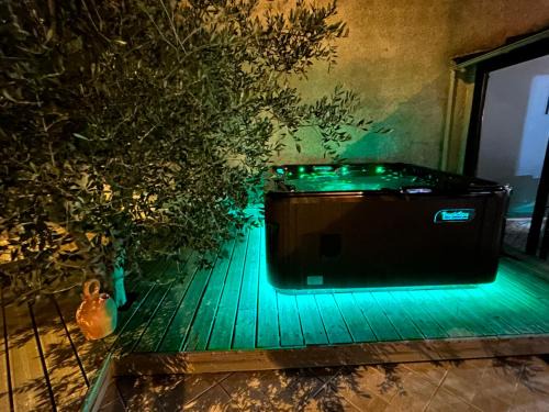 Canet-en-Roussillon Villa | VILLA NATURA 3 chambres 80m2 jacuzzy