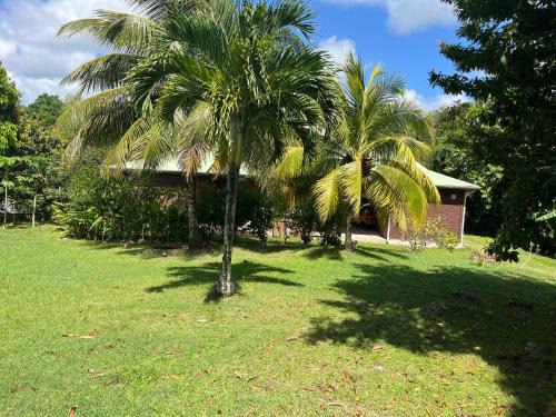 Le Moule House | Villa nature