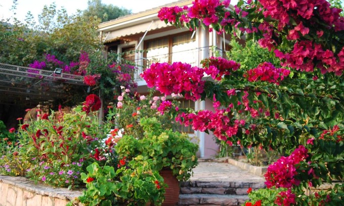 Plataria Apartment | Villa Niki