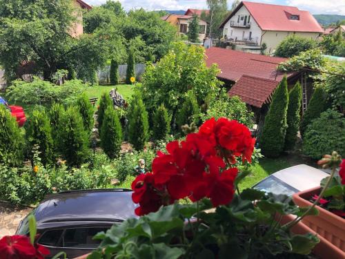 Campina House | Villa Nina
