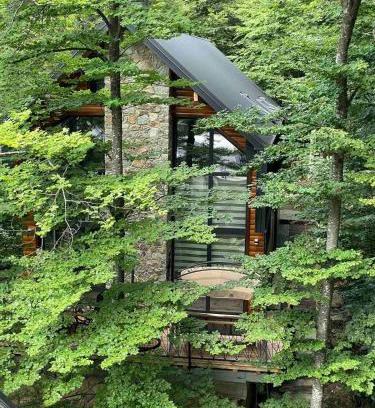Brezovice Villa | Villa Noari, Brezovice.