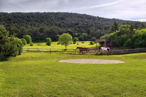 Sezana Villa | Villa Noiram - Your dream Getaway in Nature