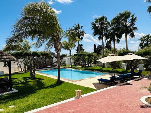 Hamma Villa | Villa Oasis