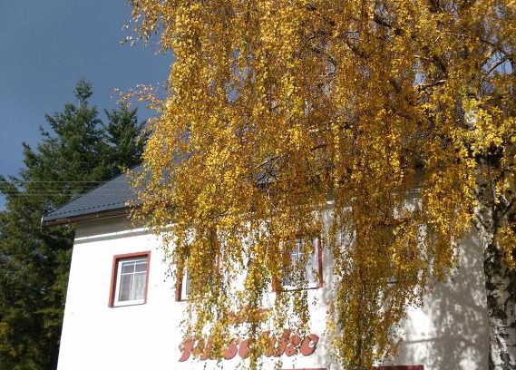 Lipova-Lazne House | Villa Plischke