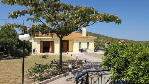 Kontos Villa | Villa Politimi at Aegina