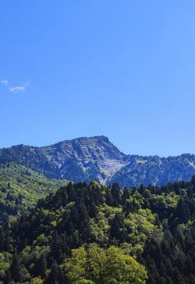 Racha-Lechkhumi and Lower Svaneti Villa | Villa Rachuli Sakhli