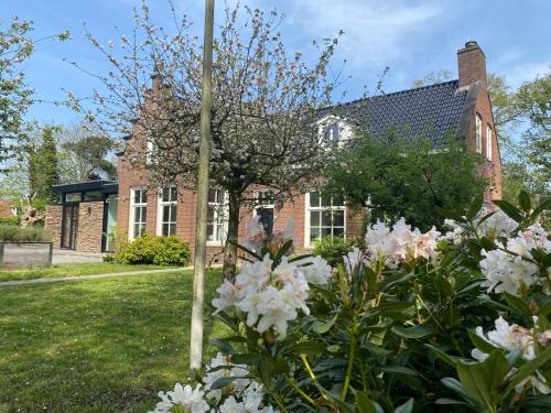 Oranjewoud Bed & Breakfast | Villa Royale