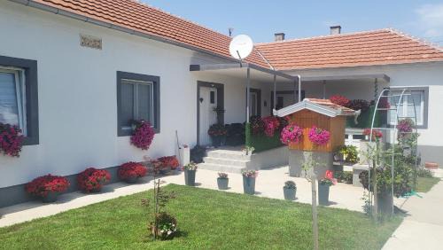 Golubac Apartment | Villa Ruža
