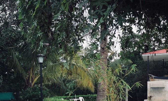 Turrucares Bed & Breakfast | Villa Selah